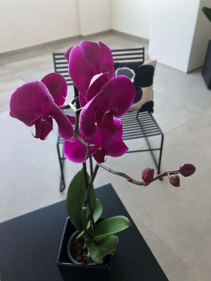 Golden Suites 50 Monopoli Dış mekan fotoğraf